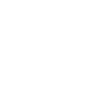 Consulting & Management